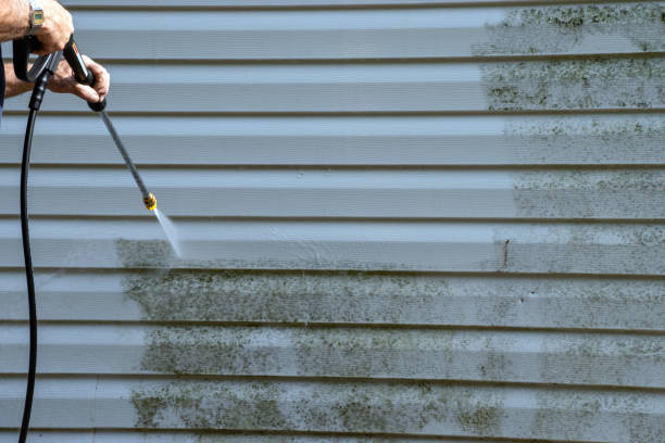 Best Siding Removal and Disposal  in Germantown, WI