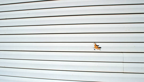 Best James Hardie Siding  in Germantown, WI