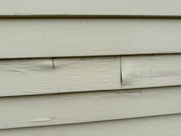 Best Siding for New Construction  in Germantown, WI